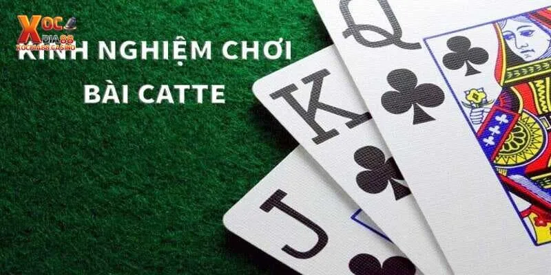 Giới thiệu về bài Catte hiện nay