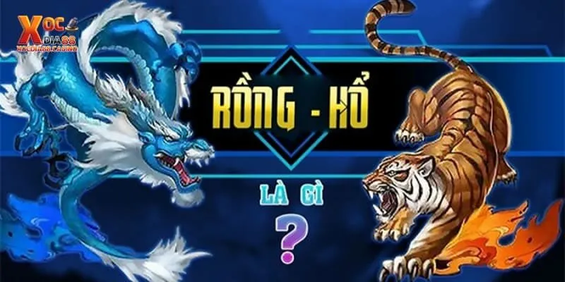Cách chơi Rồng Hổ 