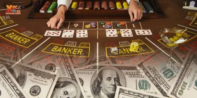 Cá cược baccarat ăn tiền