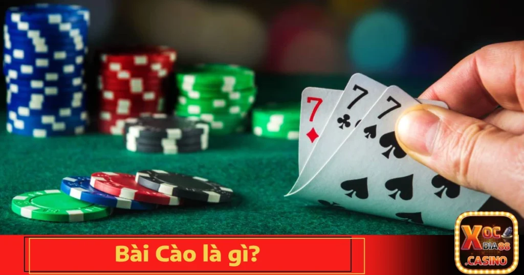 bai cao la gi 4
