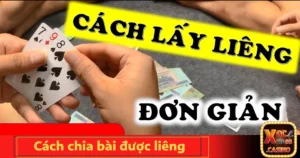 cach chia bai duoc lieng 4