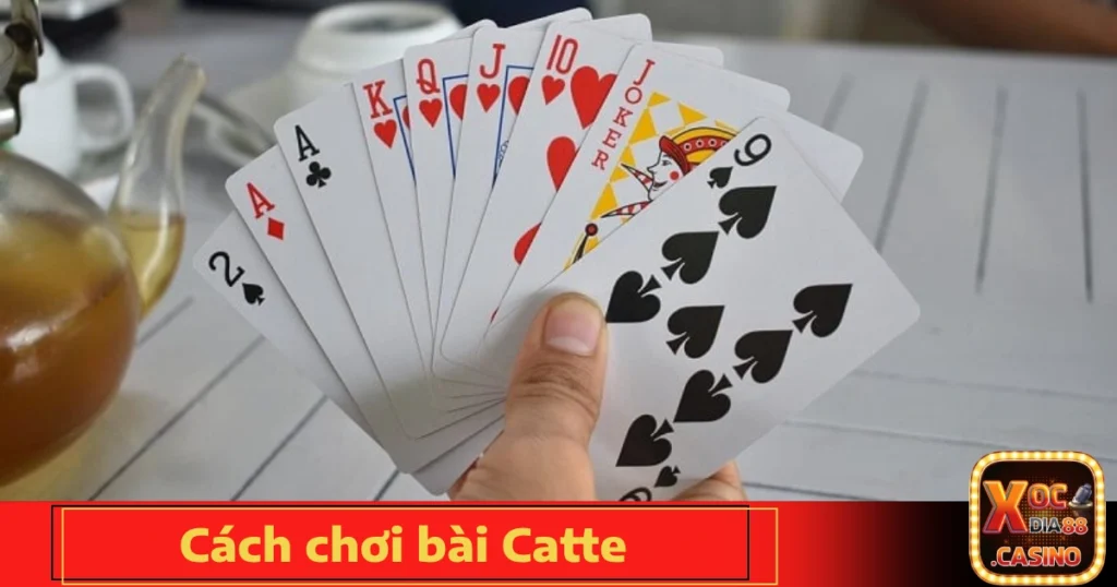 cach choi bai catte 4