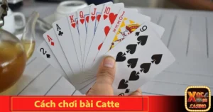 cach choi bai catte 4