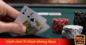Cách Chơi Xì Dách Không Thua