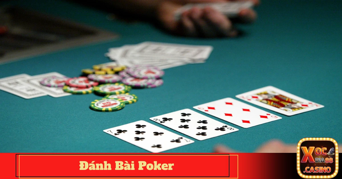 Lúc Nào Nên Chơi "Slow Play" Khi Đánh Bài Poker Để Dụ Đối Thủ Cược Lớn?