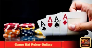 Tính năng tương tác và thưởng thức