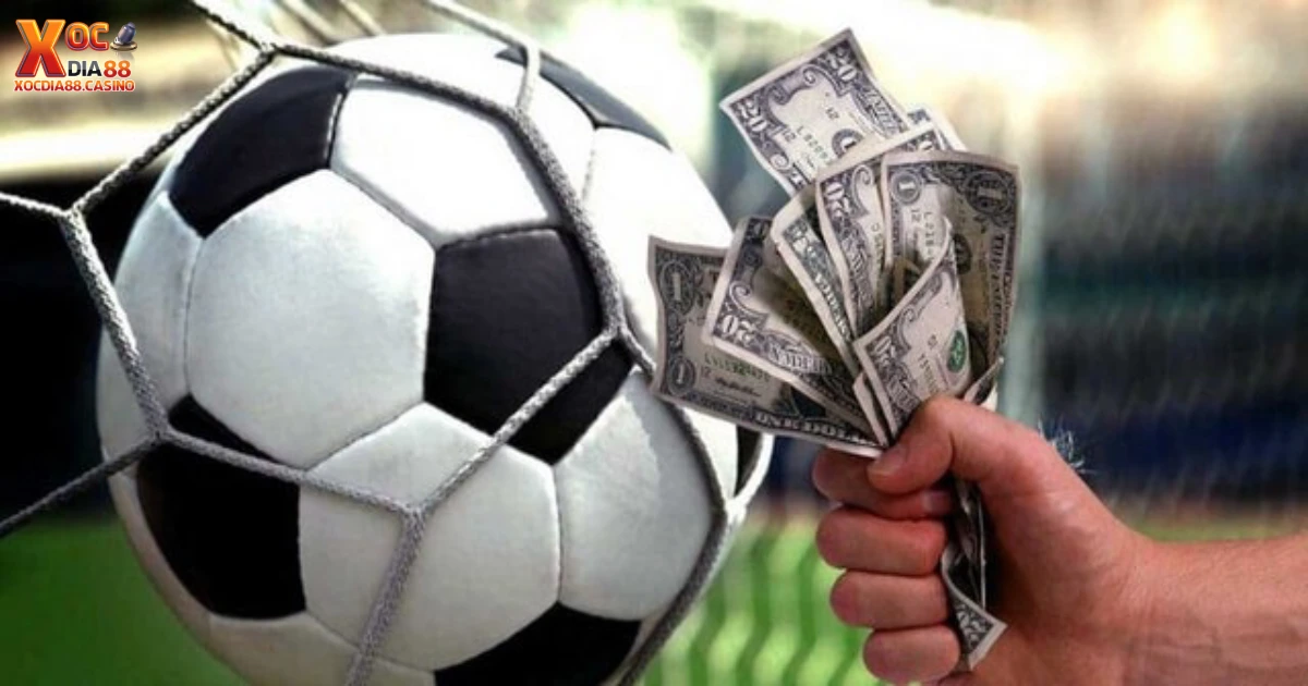 Sự khác biệt giữa kèo 3/3.5 và kèo 2.5/3 trái