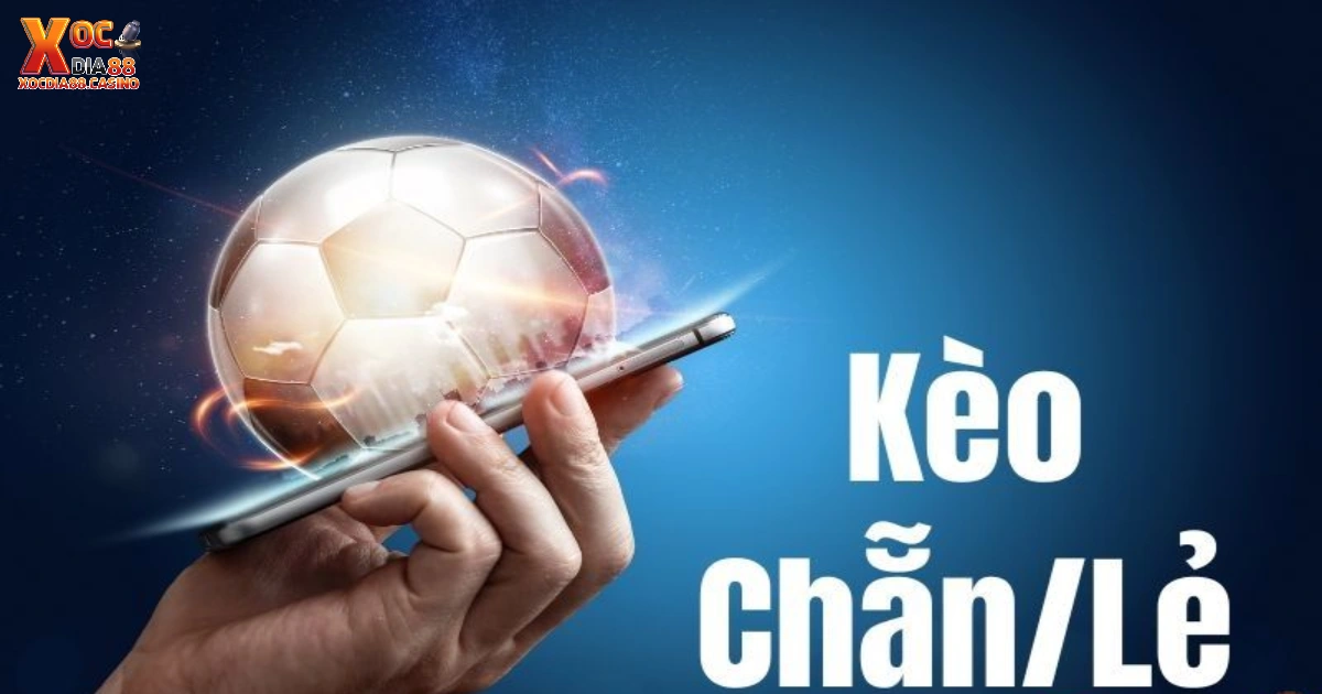 Kèo Chẵn Lẻ Là Gì? Cách Xác Định Kết Quả Dự Đoán