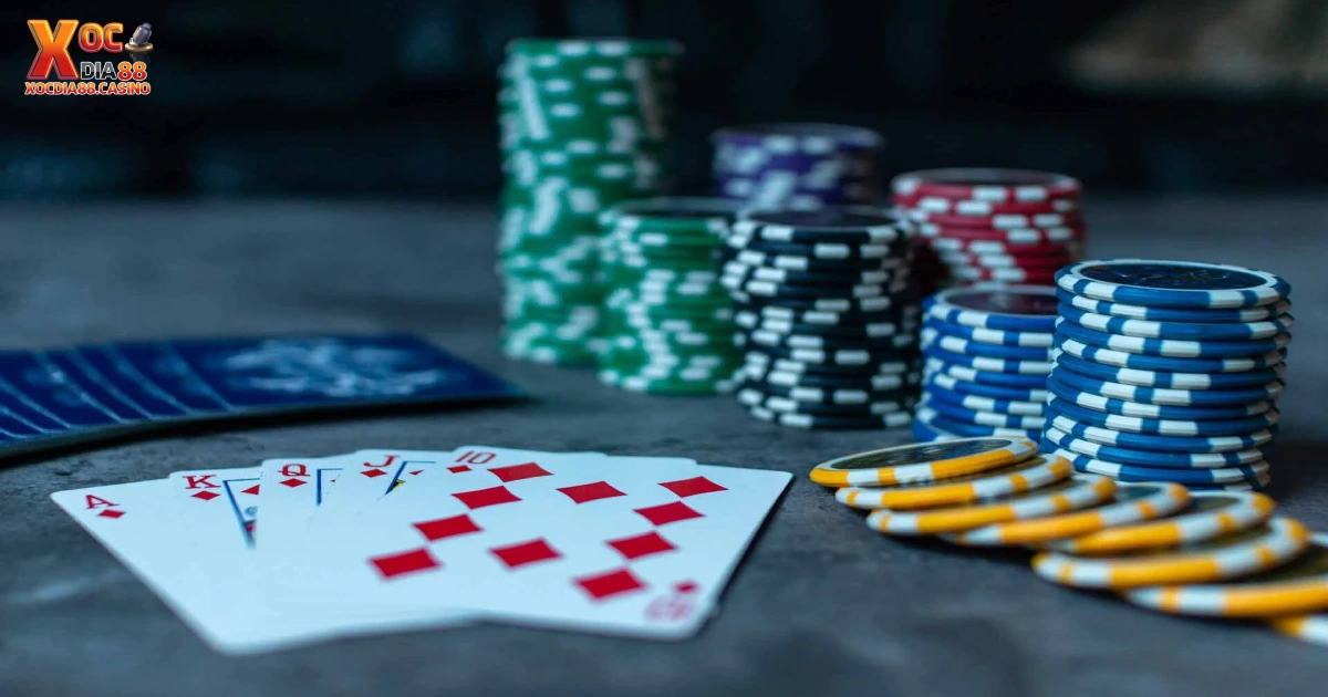 Kết Luận Về Sự Khác Biệt