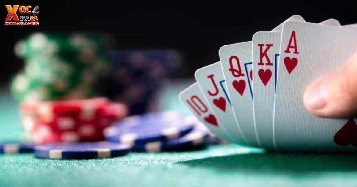 Khi nào Royal Flush (Sảnh Chúa) xuất hiện & cách chơi khi có bài này?
