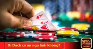 xi dach co an ngu linh khong 4