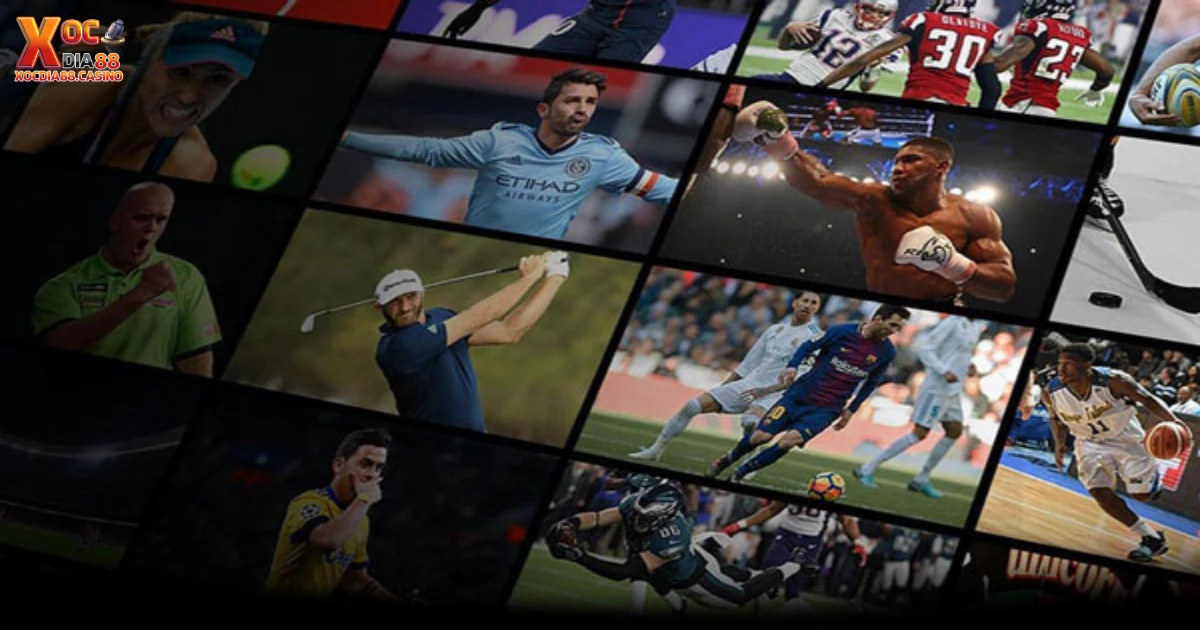 Cách nhận biết tỷ lệ kèo chấp 0.5 dễ ăn nhất